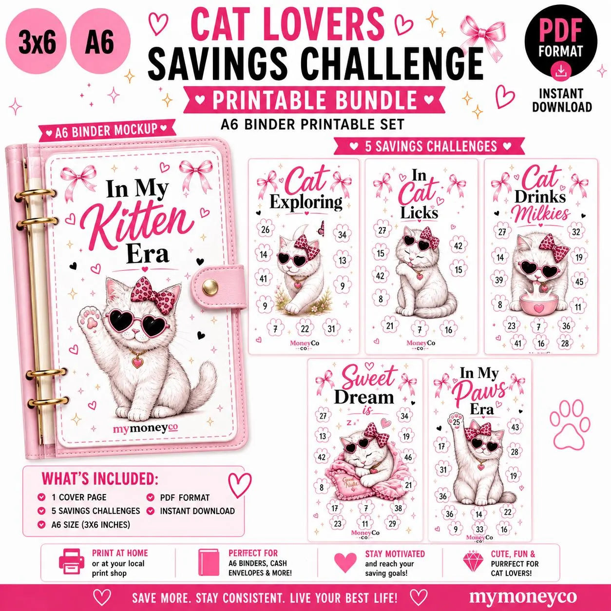 Kitty Era Savings Challenge Bundle