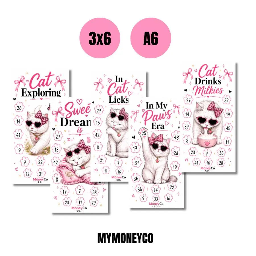 Kitty Era Savings Challenge Bundle